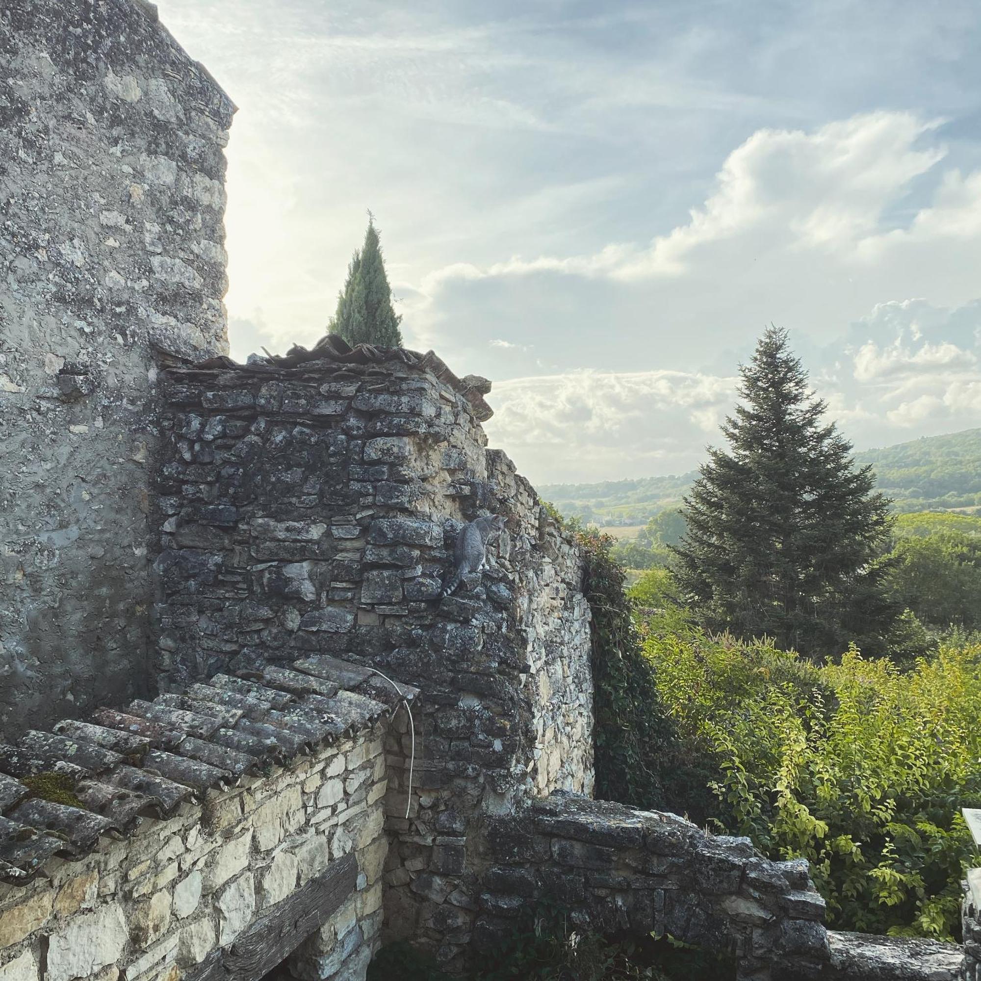 Auberge Du Boisset Saint-Martin-de-Castillon Экстерьер фото